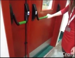 Эвакуационная противопожарная двустворчатая дверь D.Craft EI30 со стеклом и с антипаникой